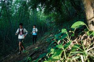 BIB: 
                            <button type="button" onclick="openModal(28123901)" class="btn btn-primary btn-sm float-right btn-popup" data-toggle="modal" data-target=".modal-high-quality">
                        <i class="fas fa-shopping-cart"></i> Add to Cart
                    </button>
                                            <button type="button" onclick="isThisMe(28123901, true)" class="btn btn-success btn-sm float-right btn-popup btn-isme hidden" data-toggle="tooltip" data-placement="bottom" title="นี่คือรูปของคุณใช่ไหม คลิกที่นี่เพื่อเอาเข้าอัลบั้ม">
                        <i class="fas fa-plus"></i> Add to album
                    </button>
                    <button type="button" onclick="isThisMe(28123901, false)" class="btn btn-warning btn-sm float-right btn-popup btn-isnotme hidden">
                        <i class="fas fa-ban"></i> Remove from album
                    </button>